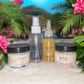 Tropic Like Its Hot Travel Companion